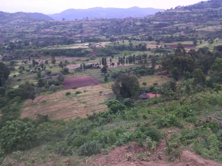 Paleete/መንደር/village
